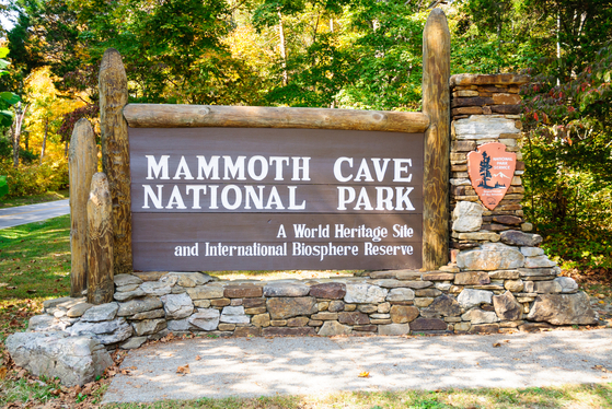 매머드 동굴은 세계에서 가장 긴 동굴로 연간 200만명의 관광객이 찾는 켄터키주 최고 명소다. 