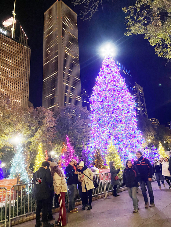 시카고 다운타운 밀레니엄파크에 설치된 시카고 시 공식 크리스마스 트리. Nathan Park 기자