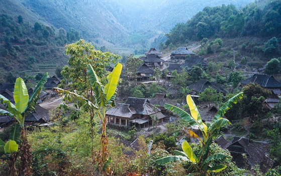 보이차 명산지 중국 푸얼 징마이산 지역의 블랑족 마을. [Doran 제공]