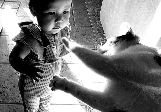 이은혜씨의 작품 ‘아기와 고양이’(A Baby & a Cat).