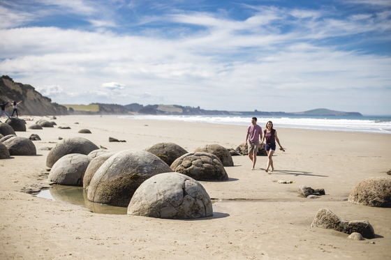 와이타키 지역 명소 모에라키 볼더스. 6.5피트에 이르는 거대하고 둥근 이 돌들이 해안에 널려 있다. [뉴질랜드관광청 제공 ⓒMiles Holden]