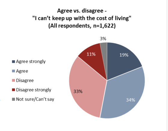 앵거스 리드의 고물가에 따른 생활비 감당 여부를 묻는 질문에 53%가 힘들다는 대답을 했다. 앵거스 리드 보고서 캡쳐