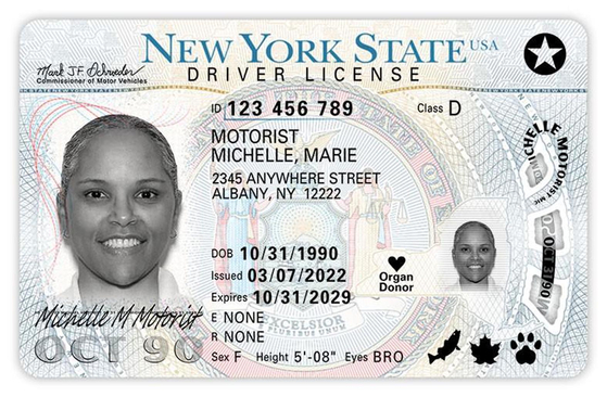 뉴욕주 차량국(DMV)이 공개한 새 운전면허증 샘플. [사진 뉴욕주 차량국]