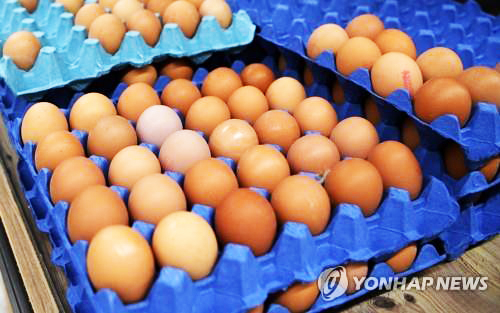 계란 [EPA 연합뉴스]