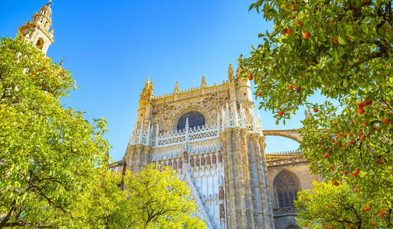 세계에서 세 번째로 큰 스페인 대성당은 모스크가 있던 자리에 고딕 양식으로 세워진 건물로 빼어난 조형미를 자랑한다. 사원의 흔적은 히랄다 탑과 오렌지 안뜰에 남아있다. 〈US아주투어 제공〉