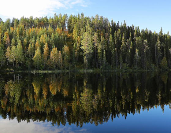 핀란드 숲과 호수에서는 진짜 휴식을 즐길 수 있다. 녹색의 푸르름이 가득한 여름의 숲에는 그들만의 별장인 뫼끼가 있고 베리와 버섯이 지천으로 깔려 있다. 〈아주투어 제공〉