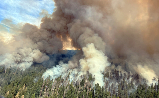  요세미티 국립공원 대형 산불...지난 7일 오후부터 요세미티 국립공원에서 발생한 ‘워시번 산불’로 침엽수 군락지가 불에 타고 있다. 소방당국은 세코이아 숲을 보호하기 위해 안간힘을 쓰고 있다. [Countryheli 캡쳐