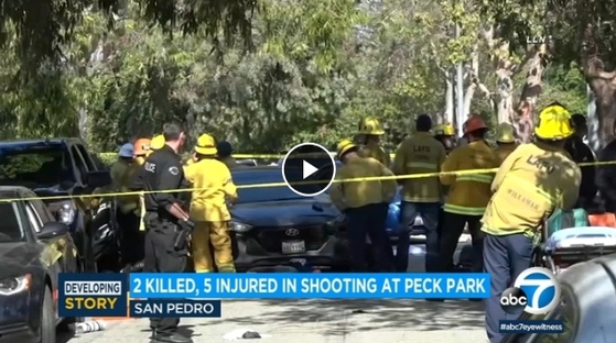 샌피드로의 한 공원에서 24일 오후 총격난사가 벌어져 2명이 숨지고 5명이 부상당하는 사건이 발생했다.