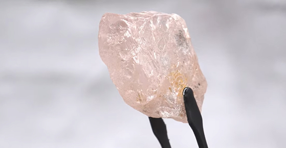 300년만에 발견된 가장 큰 핑크 다이아몬드 '룰루 로즈'. [루카파 다이아몬드 제공]
