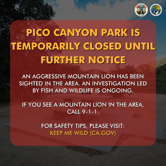 LA카운티 공원 및 레크리에이션국은 마운틴 라이언으로 인해 피코 캐년 공원을 잠정 폐쇄한다고 밝혔다.