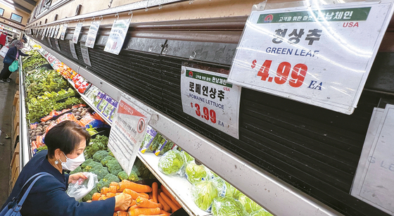 폭우와 한파가 로컬 농작물에 영향을 미치면서 상추 가격이 한 개에 4.99달러까지 치솟는 등 대부분 채소가격이 급등했다. 김상진 기자 