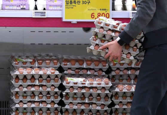 서울의 한 대형마트 달걀 매대의 모습. 뉴스1