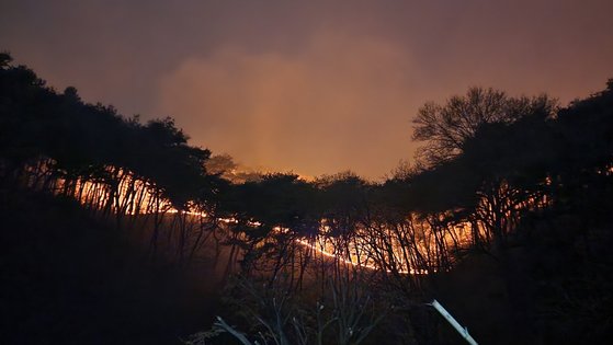지난달 2일 충남 홍성군 서부면 중리의 한 야산에서 발생한 산불이 바람을 타고 밤새 산능성이를 넘어가고 있다. 신진호 기자