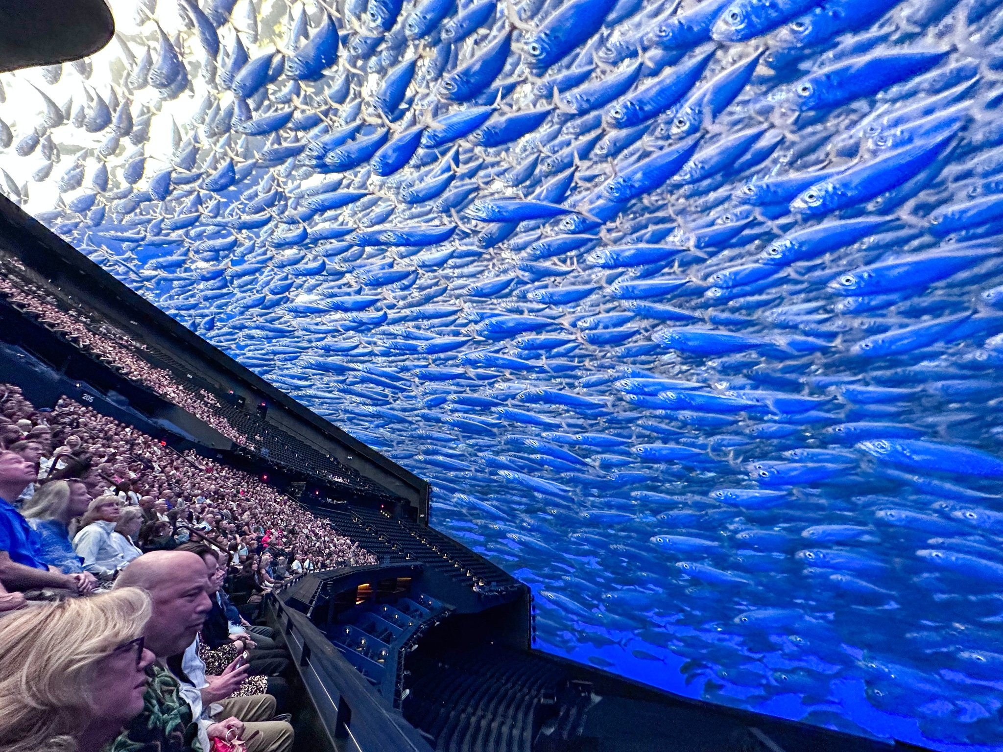 수중 촬영 영상이 화면을 가득 채울 때는 깊은 바다를 유영하는 것 같다.