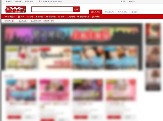 불법 성매매 광고 사이트. 경기남부경찰청