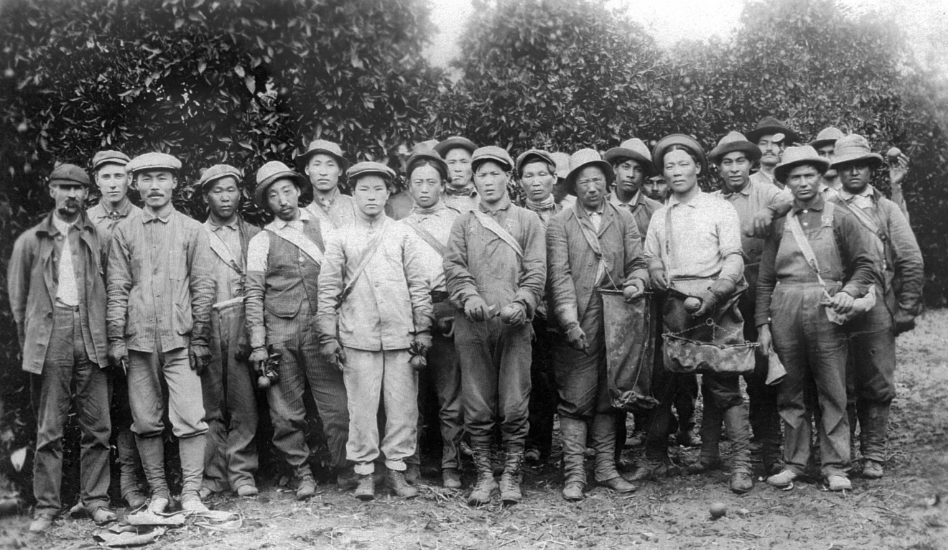 도산 안창호 선생(앞줄 왼쪽에서 두번째)이 리버사이드에 세운 미주 최초의 한인촌 '파차파' 캠프의 모습. [하와이 대학교 한국학 연구회]