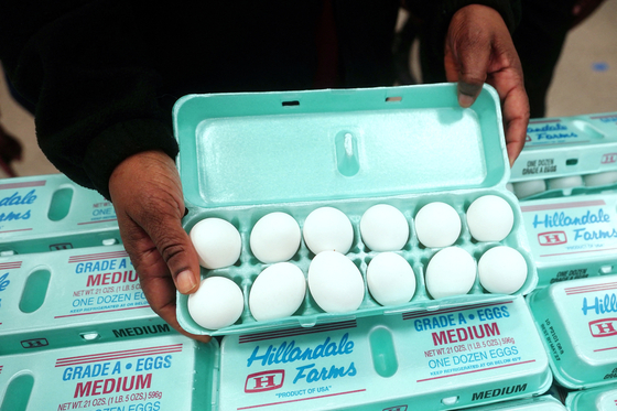  달걀이 아니라 황금알이었다. 전국 최대 달걀 공급업체의 분기수익률이 무려 718%를 기록한 것으로 나타났다. [로이터]
