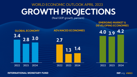 IMF의 경제성장률 그래프