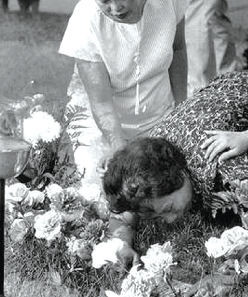 빈센트 친의 모친 릴리 친이 아들의 무덤 앞에 엎드려 통곡하는 모습. [ACJ 제공]