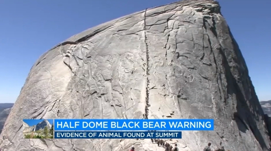 최근 요세미티 해프돔 정상에서 곰의 흔적이 발견돼 등반객에 주의보가 내려졌다. [ABC7 뉴스]