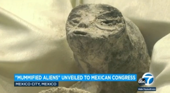 멕시코 의회서 12일, 미라 형태의 외계인 사체 2구가 공개됐다. [ABC7 뉴스]