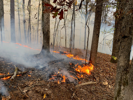 USACE가 공개한 앨라투나호수 인근에서 발생한 산불 [출처 USACE 페이스북]