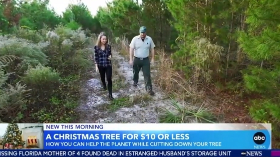 각 지역 국립 공원에서 성탄절 장식용 생나무를 5불이나 10불에 판매한다. 각 지역 산림청 사무소에 문의하면 허가증 취득 및 벌목 주의사항 등을 알 수 있다. [ABC7 뉴스]
