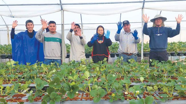 가주에서 한국 딸기를 재배해온 문종범(오른쪽)씨가 지난 한해 매주 본지에 게재해온 연중기획을 마치며 22일 옥스나드 농장에서 직원들과 함께 독자들에게 인사하고 있다.