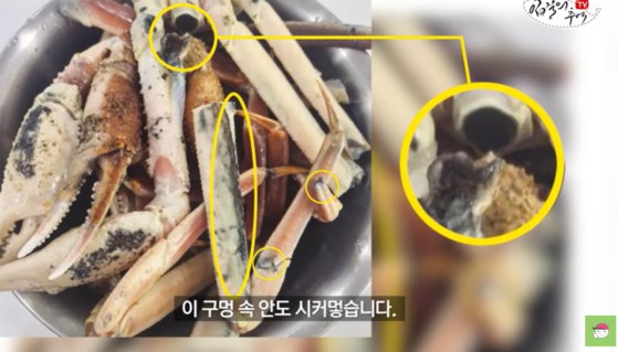 지난달 23일 온라인커뮤니티에 올라온 '썩은 대게' 관련 사진. 유튜브채널 '입질의 추억' 캡처