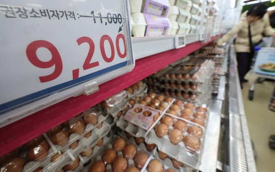 농림축산식품부는 14일 고병원성 조류인플루엔자(AI) 확산과 설 성수기에 대비해 계란 가격 안정을 위한 종합대책을 추진한다고 밝혔다.  설 성수기 기간(1월 11일~2월 8일) 농식품부는 계란 수요 증가에 따른 가격상승을 억제하기 위해 농협을 통해 계란 공급량을 확대하면서 납품단가를 인하해 대형마트와 하나로마트 등에 공급할 계획이다.  사진은 이날 서울 서초구 하나로마트 양재점에서 계란을 구매하는 시민들. 뉴스1