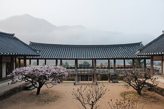 이동춘 사진가의 '병산서원의 봄'. 사진 이동춘