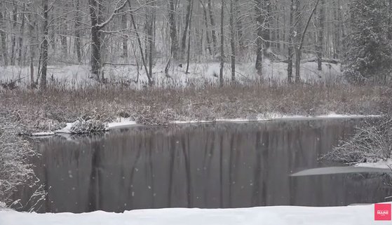 에트나 연못. 사진 NEWS CENTER Maine 유튜브 캡처