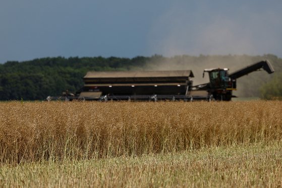 우크라이나 농부가 지난해 7월 18일 우크라이나 중부 체르카시 지역에서 콤바인으로 유채를 수확하고 있다. 로이터=연합뉴스