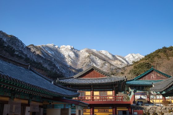 계룡산 동학사에서 올려다본 마루금. 원래 눈이 많이 내리는 산이 아닌데 올겨울은 이례적으로 설경이 자주 연출되고 있다. 최승표 기자