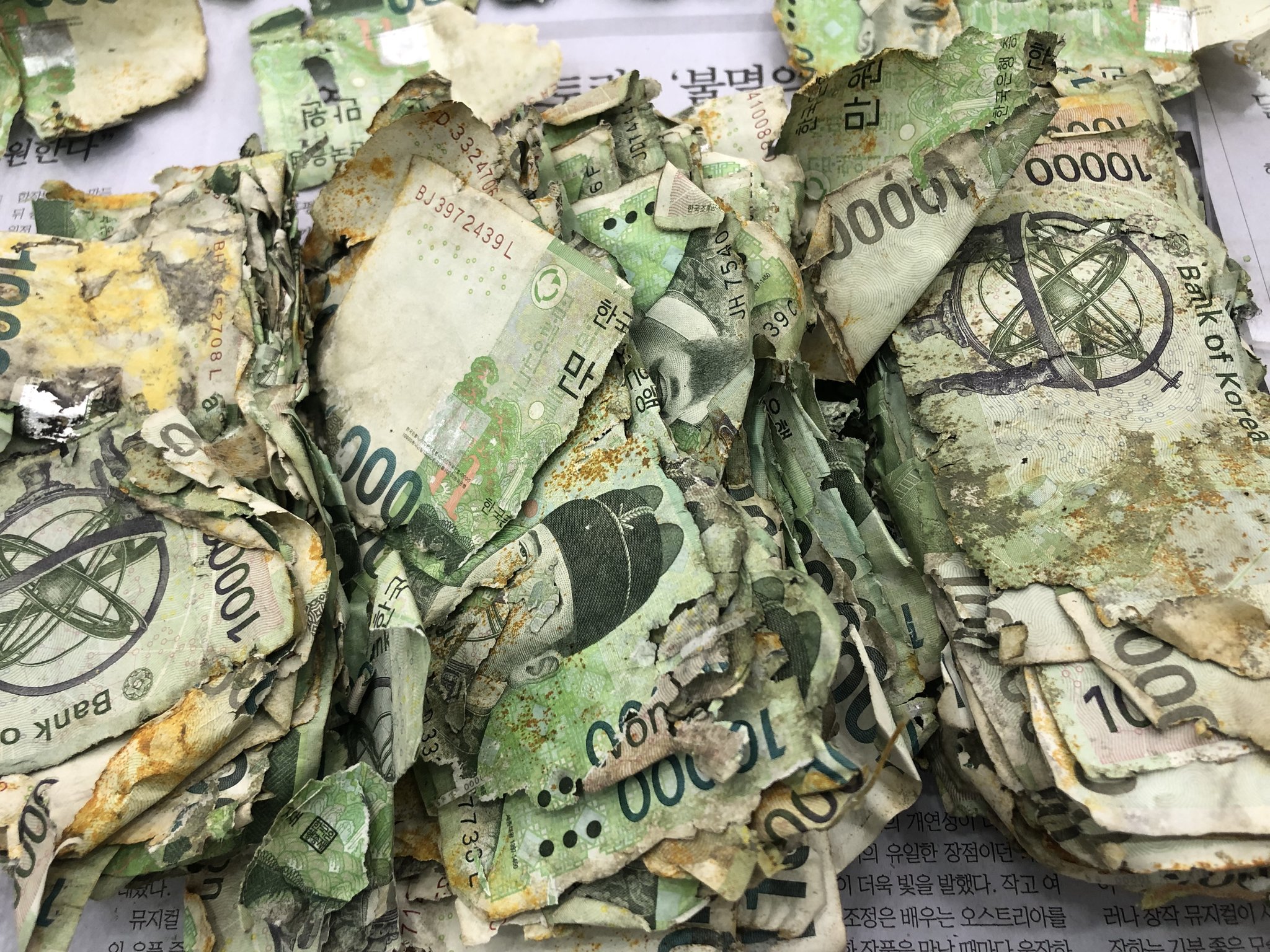 습기 때문에 지폐가 손상되면서 찢어지거나 변색된 모습. 사진 한국은행