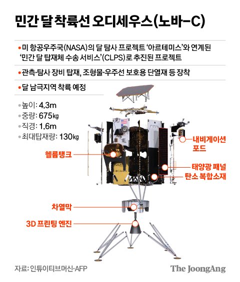 김영희 디자이너