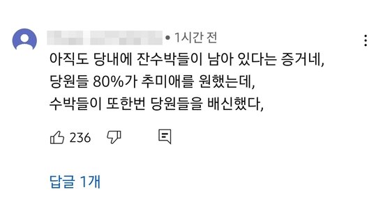 커뮤니티 댓글 사진. 유튜브 캡처