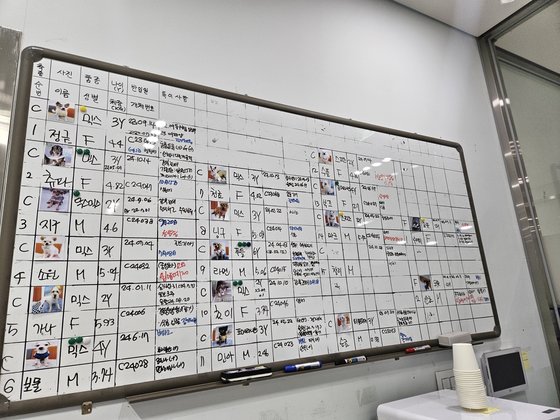 On the 31st, the status of animals awaiting adoption at the Seoul Animal Welfare Support Center was written on the whiteboard. Reporter Lee Soo-min