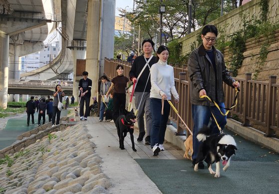 On the 30th, Financial Supervisory Service employees who came to volunteer at the 'Baladang' adoption center located in Jegi-dong, Dongdaemun-gu, Seoul, are walking dogs. Reporter Lee Soo-min