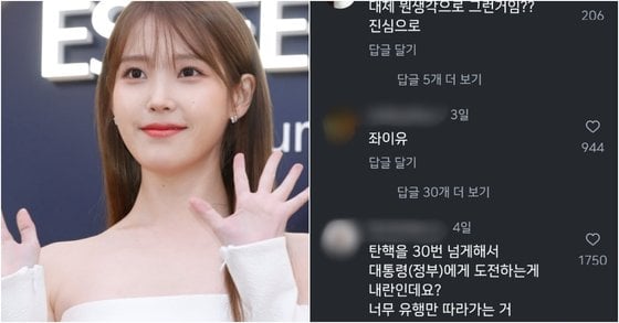 아이유(왼쪽)와 아이유 인스타그램에 달린 댓글들. 사진 뉴스1, 아이유 인스타그램 캡처