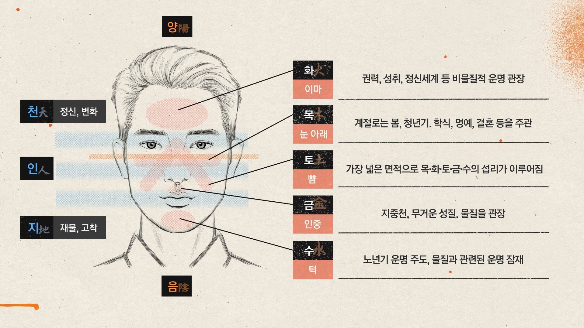 얼굴에 담긴 천지인 삼재와 오행 원리. 그래픽 신다은