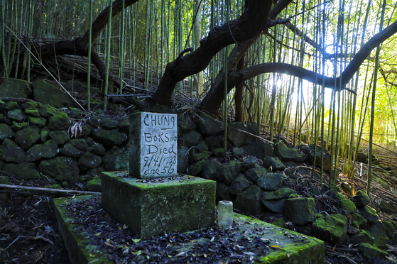 수풀이 우거진 대나무 숲 사이에 ‘Chung Bok Soo(정복수‘)라고 적힌 한인 무덤이 있다.
