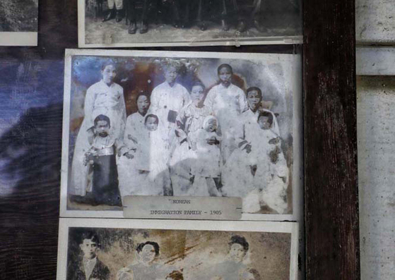 노스 코할라 시빅센터 벽면에는 1900년대 초반 이민자들의 사진이 붙어있다. 그중 가운데가 한국 전통 의상인 ‘한복’을 입은 여성들이 아이를 무릎에 앉히고 찍은 사진이다. 사진 밑에는 ‘Korean Immigration Family-1905’이라고 쓰여있다