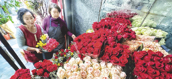 밸런타인데이를 맞이해 계정자 꽃집 직원들이 다양한 색상의 장미를 정리하고 있다. 김상진 기자
