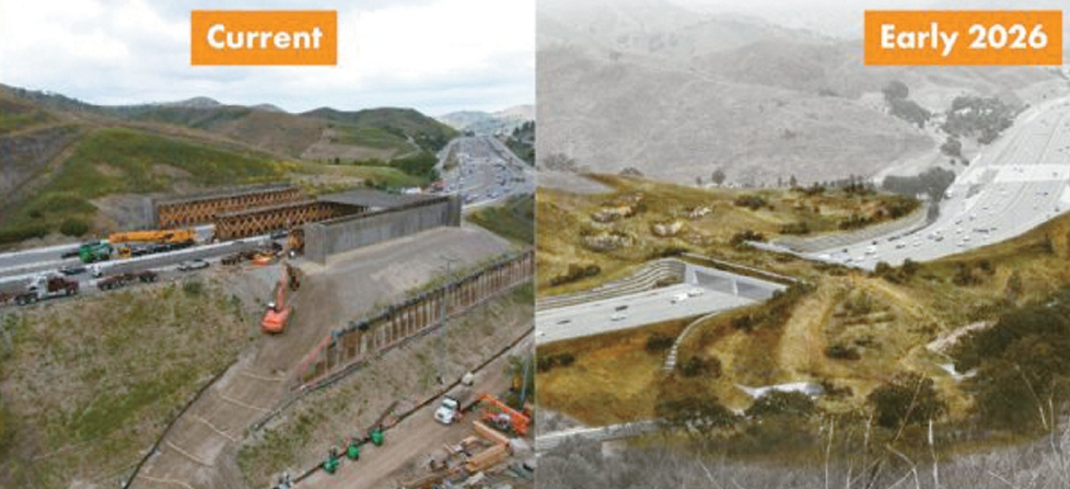 왼쪽은 공사가 진행 중인 야생 동물 전용 생태통로. 오른쪽은 2026년 완공될 횡단로의 조감도.    [야생동물 보호국 홈페이지]