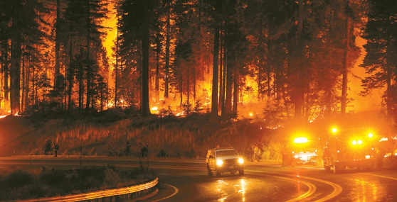 ‘파크 파이어(Park Fire)’로 명명된 산불이 발생한 존스빌 지역 임야가 불길에 휩싸여 있다.  [로이터]