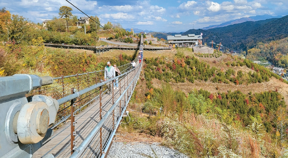 그레이트 스모키 마운틴 국립공원 초입에 있는 유럽풍 마을인 테네시주 게틀린버그(Gatlinburg)의 명물 스카이 워크.