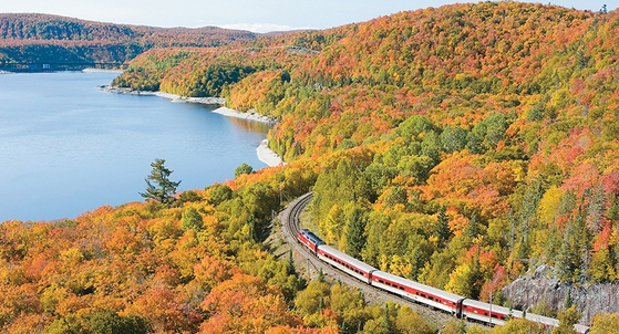 칙칙폭폭 달리는 단풍 열차의 차창 너머 자연이 부리는 색채의 마법이 펼쳐진다. [The Agawa Canyon Tour Train 제공] 