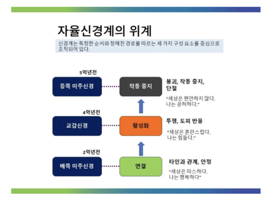 그림: 스쿨 오브 알렉산더테크닉 김경희 대표