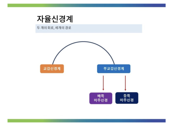 그림: 스쿨 오브 알렉산더테크닉 김경희 대표